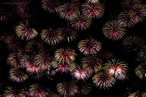 煙火花風水|2021過新年放煙火.這煙火花開的很旺! Fireworks Flower